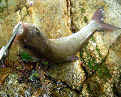 قځuځvEE傫ʂƂȂǂˁB